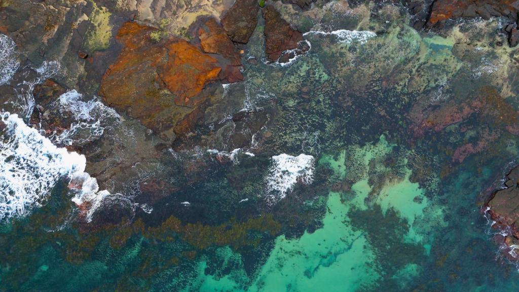 Episode 8 – Shoreline Building Group